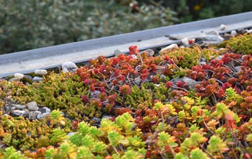 the cost of Wolviston green roof installation
