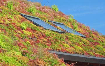 Wolviston living roof systems