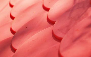 Wolviston plastic roof costs