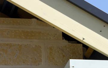 soffit repair Wolviston